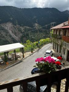 a view of a road with flowers on a balcony at Via Ferrata Hotel in Prousós +10 photos