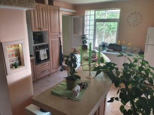 a kitchen with a potted plant on a counter at Dodo House in Săcele