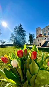 un ramo de flores rojas y blancas en un campo en Hotel SPA Wieniawa, en Rekowo