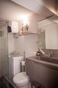 a bathroom with a toilet and a sink and a mirror at Holiday Gufetto in Pietra Ligure