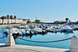 a bunch of boats are docked in a harbor at Casa da vila in Faro