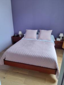 ein Schlafzimmer mit einem großen Bett mit lila Wänden in der Unterkunft maison entiere au calme in Montgeron