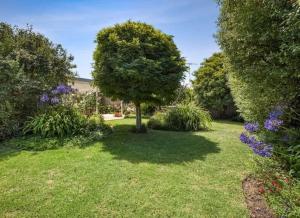 Κήπος έξω από το Villa Avisa 5 minutes to the beach