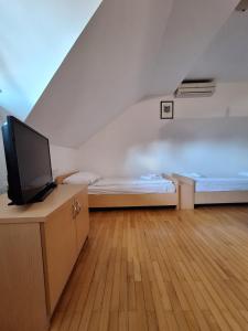 a room with two beds and a flat screen tv at Župnijski apartmaji in Dolenjske Toplice