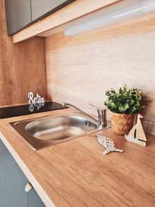 a kitchen sink with a potted plant on a counter at Mobile homes Laguna, beach Porat, Drage in Drage