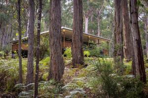 ein Haus im Wald mit Bäumen in der Unterkunft Hastings Bay Retreat in Hastings