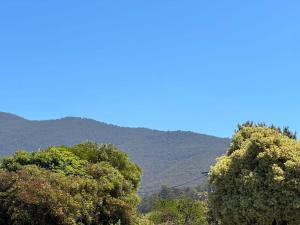 zwei Bäume im Vordergrund mit Bergen im Hintergrund in der Unterkunft Claremont Comfort Cottage in Claremont