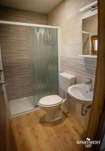 Apartment Vrhovc في زلزنيكي: حمام مع دش ومرحاض ومغسلة