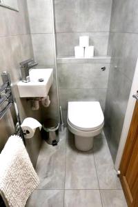 a small bathroom with a toilet and a sink at 3 Bedroom Prime Angel Location in London