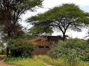a house sitting on top of a wooden fence at Elephant lodge in Kwa Kuchinia