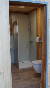 a bathroom with a shower and a toilet at Cowboy's Land in Višnja Gora