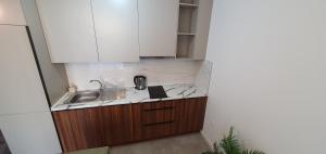 Kuchyň nebo kuchyňský kout v ubytování Apartmani Jovanovic - Rafailovici