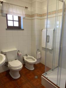 a bathroom with a toilet and a sink and a shower at Casa da Eira in Lousã