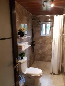 y baño con aseo y ducha. en Nana Adu Guest House, en Koforidua