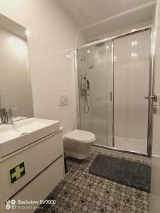 ein Bad mit einer Dusche, einem WC und einem Waschbecken in der Unterkunft Oporto Apartment Sé Catedral in Porto