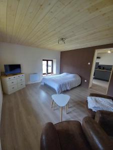 - une grande chambre avec un lit et un canapé dans l'établissement Le regit, Studio moderne Balneo, à La Bresse