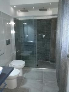 ガリポリにあるGallipolitravel Sand Apartmentのバスルーム(トイレ、ガラス張りのシャワー付)