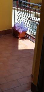 Kép Borgo San Giorgio Apartment szállásáról Castelmolában a galériában