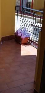 Kép Borgo San Giorgio Apartment szállásáról Castelmolában a galériában