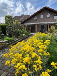 a garden with yellow flowers in front of a house at Ferienwohnung Jansen Selfkant in Selfkant