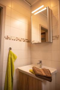 een badkamer met een wastafel en een spiegel bij Friesenhof Jöns in Garding