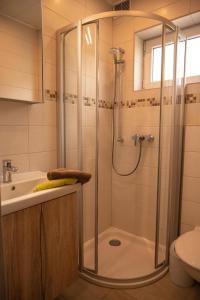 a bathroom with a shower and a sink at Friesenhof Jöns in Garding