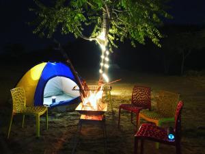 a group of chairs and a tent with a lit up fire at The Bainada farm in Jaipur