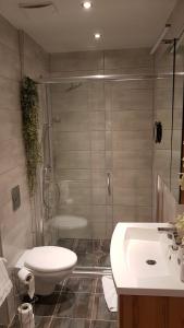 Kúpeľňa v ubytovaní Zafír Sziget Apartman