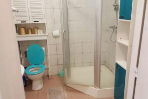 uma casa de banho com um WC azul e um chuveiro em Le clin d oeil du champ em Sainte-Marie