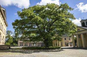 un grande albero di fronte a un edificio di Haus Villigst - Tagungsstätte der EKvW a Schwerte
