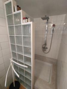 a shower with glass shelves in a bathroom at Studio Gite Mondragon (Vaucluse) in Mondragon