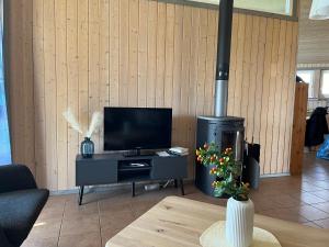 TV a/nebo společenská místnost v ubytování Feriendorf Klosterheide
