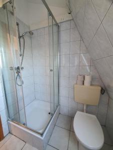 La salle de bains est pourvue de toilettes et d'une douche en verre. dans l'établissement Wombat-1-2-Personen, à Brunsbüttel