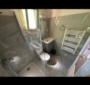 a bathroom with a shower and a toilet and a sink at 10 min de Monaco petite maison avec jardin vue mer et rocher de Monaco in La Turbie