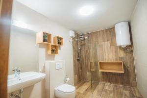 a bathroom with a shower and a toilet and a sink at Rogla Alpina Residence in Zreče