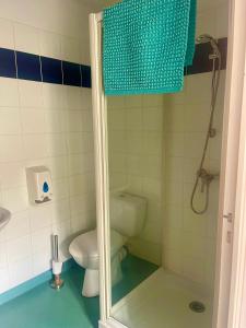 a bathroom with a toilet and a shower at Le Diamant Chambrés in Mauprévoir +29 photos