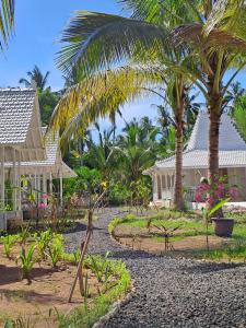 un cortile con palme e case di The Palms Penida a Toyapakeh