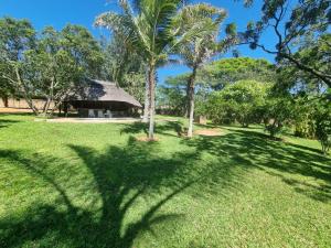 une ombre d'un palmier devant un bâtiment dans l'établissement The Villa, à Bulawayo