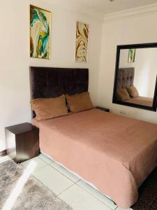 ein Schlafzimmer mit einem großen Bett und einem Spiegel in der Unterkunft Perchment view Apartment in Lusaka
