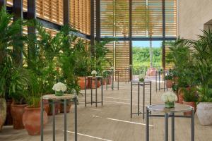 a room filled with tables and potted plants at The Riviera Maya EDITION at Kanai in Playa del Carmen