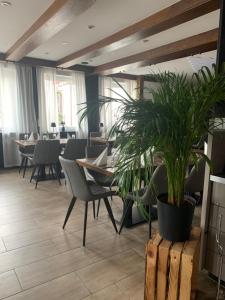 a restaurant with tables and chairs and a potted plant at Pension zur Sonnenalb in Sonnenbühl