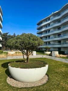 Κήπος έξω από το Rogowo Pearl Apartamenty