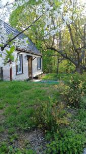 una pequeña casa blanca con un árbol en el patio en Dwie Chatki domek, en Sandomierz