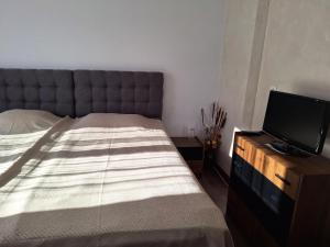 Llit o llits en una habitació de Vasilevi House