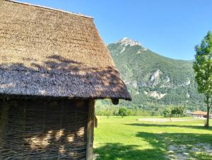 a hut with a thatch roof with a mountain in the background at Parco Archeologico Valdieri in Valdieri