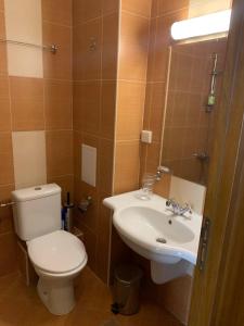 拉兹洛格Studio 5 in Pirin Golf的带马桶和水槽的浴室