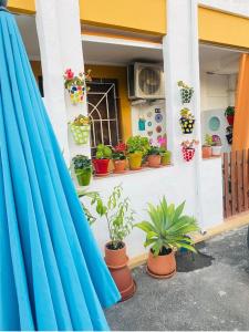 un bâtiment avec des plantes en pot et une fenêtre avec une planche de surf dans l'établissement Placer sevillano On the Glory, à Séville