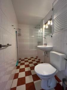 ein Bad mit einem WC und einem Waschbecken in der Unterkunft De Skuorre in Baaiduinen