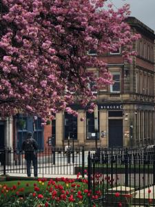 a man standing behind a fence under a tree with pink flowers at Studio in Bolton town, Short stay studio 3, in Bolton