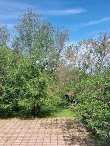 a field with trees and a brick walk way at Locanda Antico Casale Cesenatico in Cesenatico